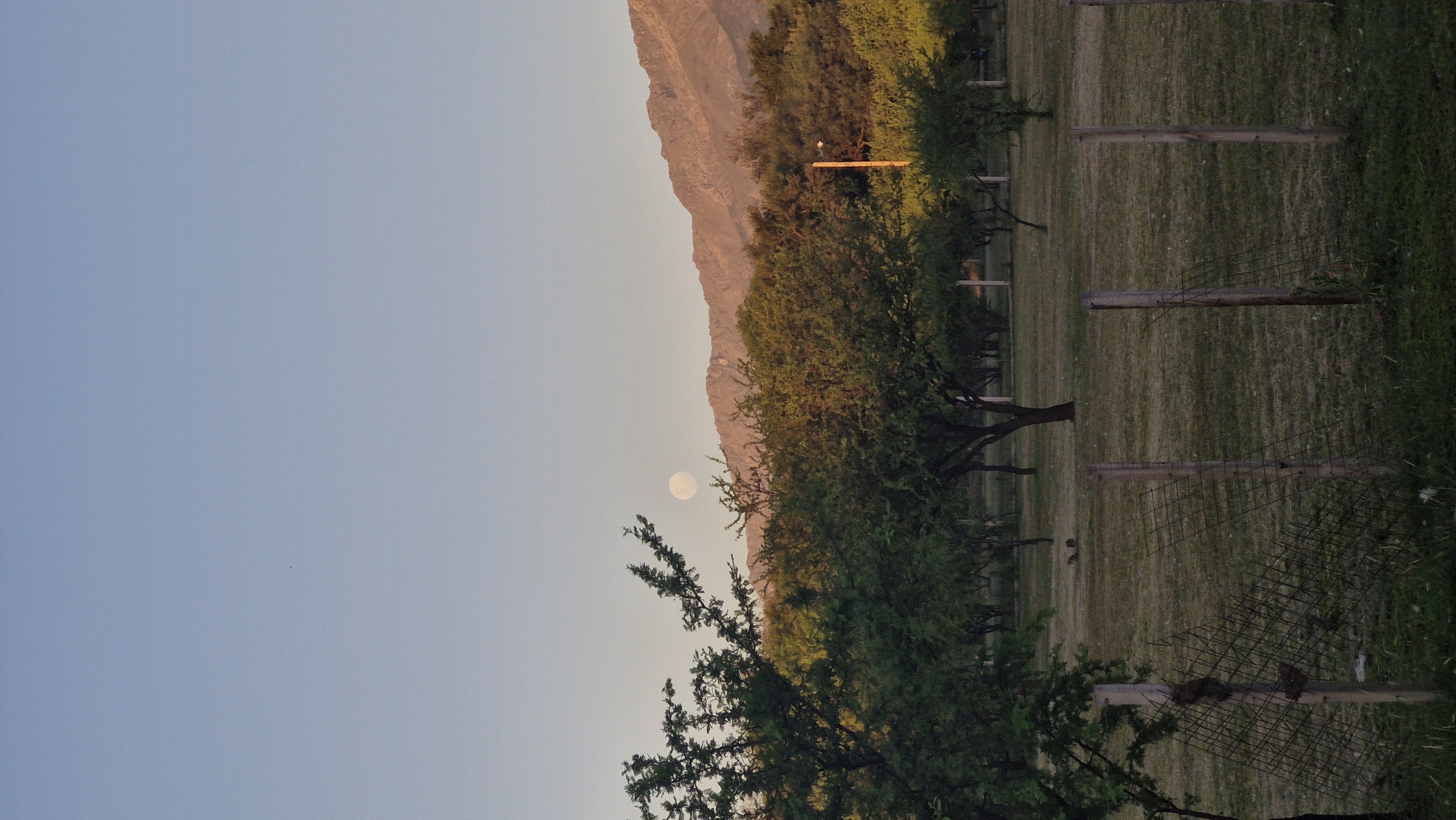 Parque y Exteriores - Foto 2